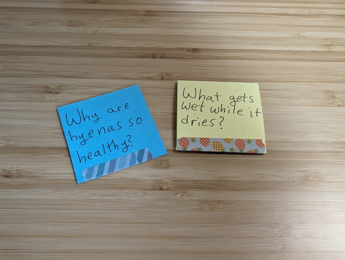 Two joke cards taped closed with washi tape.